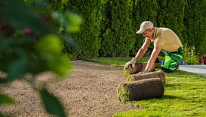 زراعة ثيل طبيعي 