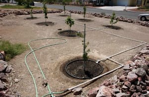 تركيب شبكات الري