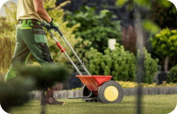 شركة تنسيق و تصميم حدائق خارجية