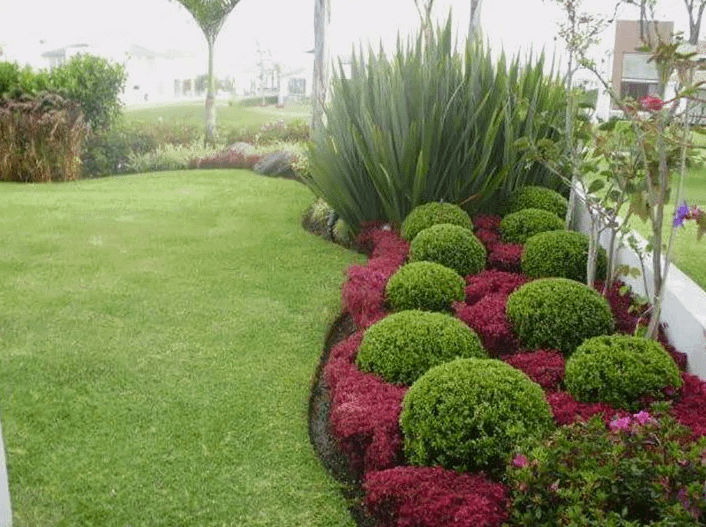 شركة تنسيق حدائق حولي