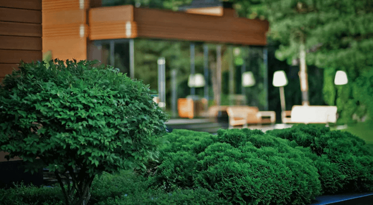 شركة تنسيق حدائق في العقيلة