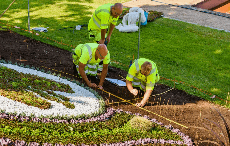 شركات تنسيق حدائق بالمنصورية