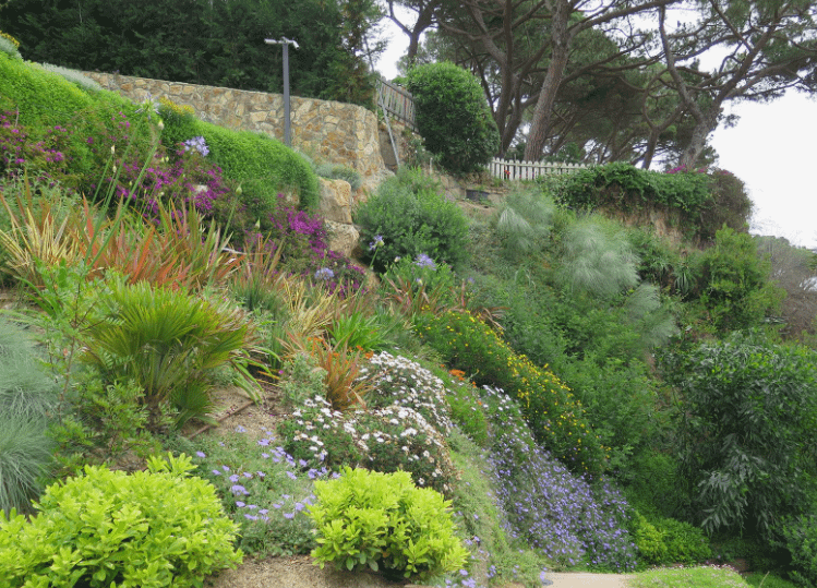 شركة تنسيق حدائق بحولي