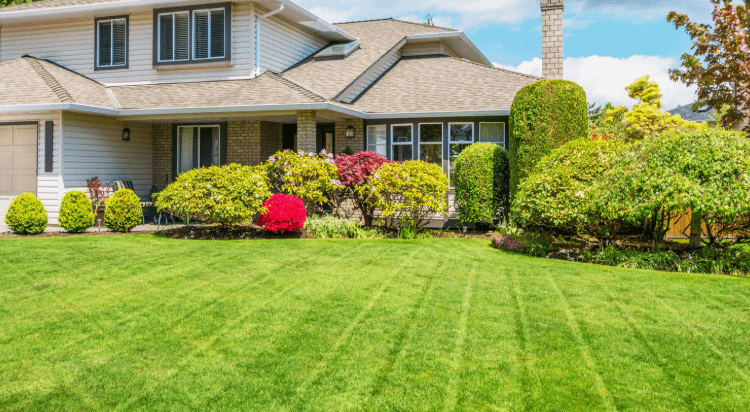 شركة تنسيق حدائق العقيلة