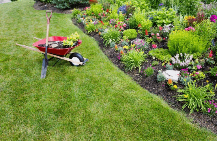 شركات تنسيق حدائق العقيلة