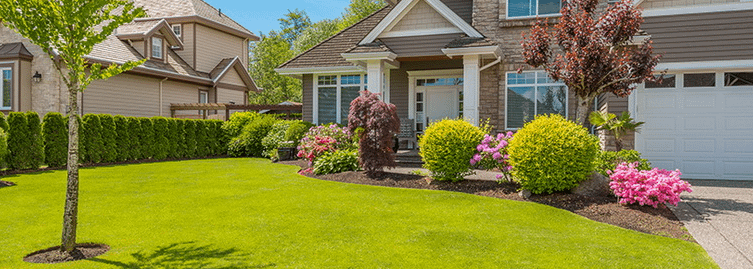 شركات تنسيق حدائق في العاصمة الكويت