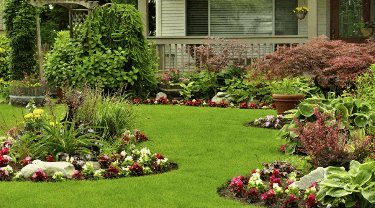 شركة تنسيق حدائق بالقادسية