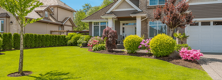 شركة تنسيق حدائق في الفروانية