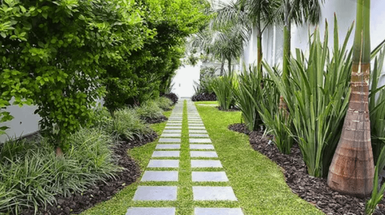 شركات تنسيق حدائق بحولي