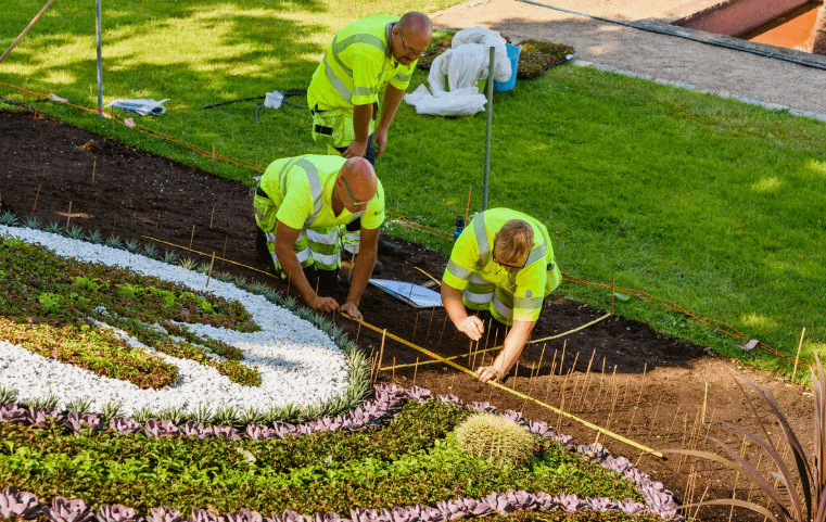 شركة تنسيق حدائق قرطبة
