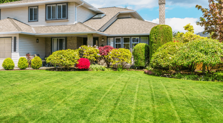 شركة تنسيق حدائق بالعاصمة الكويت