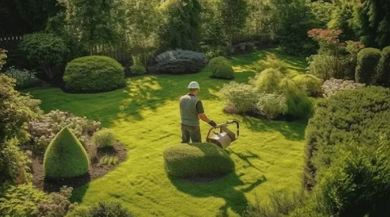 شركة تنسيق حدائق المنصورية