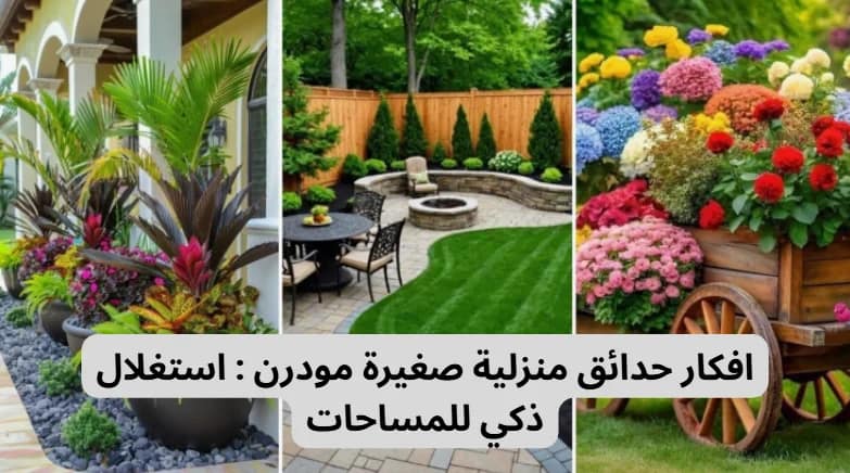 حدائق منزلية صغيرة مودرن